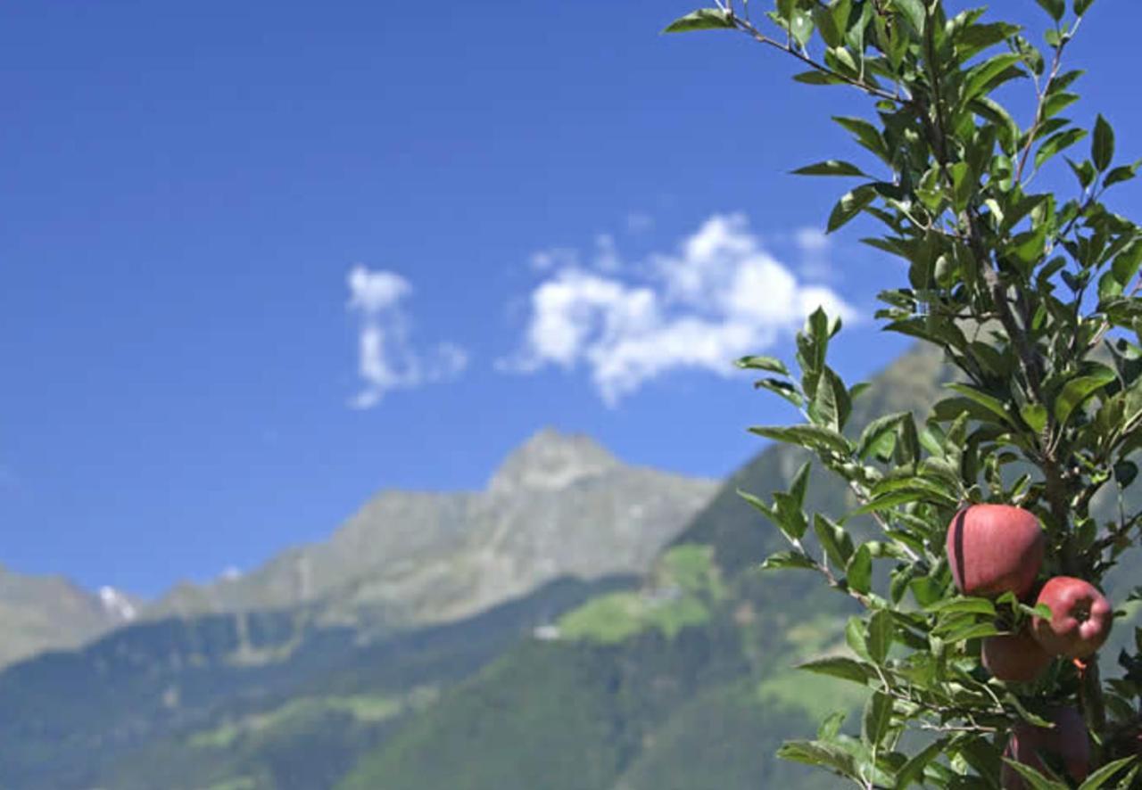 Hahnenkamm Rainegg Lägenhet Schenna Exteriör bild